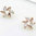 Rose gold finish clear star earrings