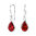 925 Sterling Silver Cubic Zirconia Hook Earrings